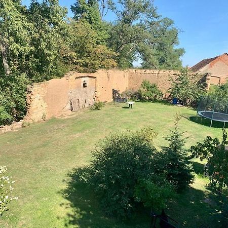 Vojkovice  Aparments Bukol 아파트 외부 사진